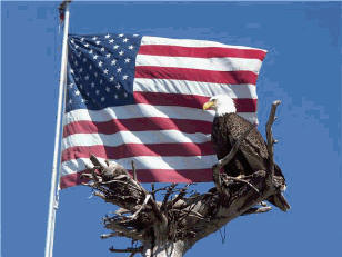 Eagle and Flag